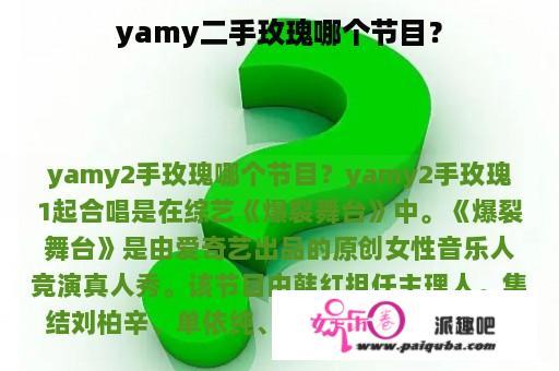 yamy二手玫瑰哪个节目？