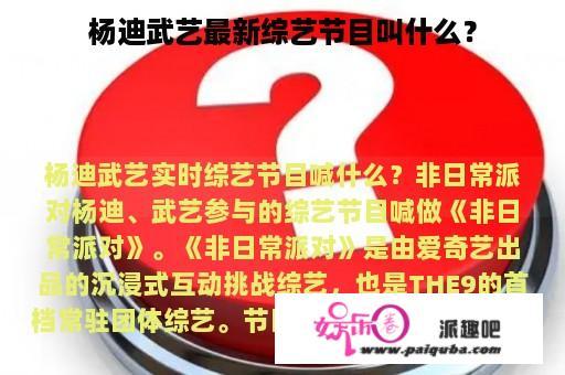 杨迪武艺最新综艺节目叫什么？