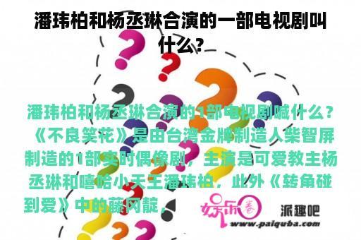 潘玮柏和杨丞琳合演的一部电视剧叫什么？