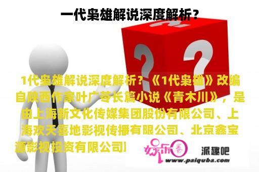 一代枭雄解说深度解析？