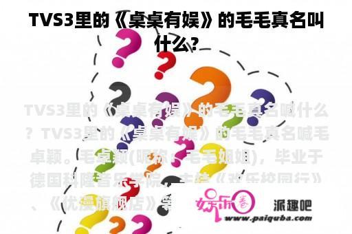 TVS3里的《桌桌有娱》的毛毛真名叫什么？