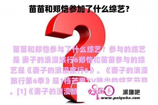 苗苗和郑恺参加了什么综艺？