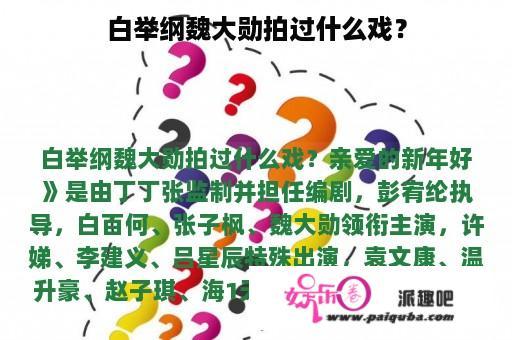 白举纲魏大勋拍过什么戏？