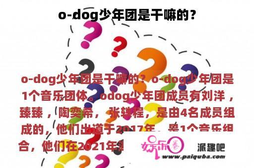 o-dog少年团是干嘛的？