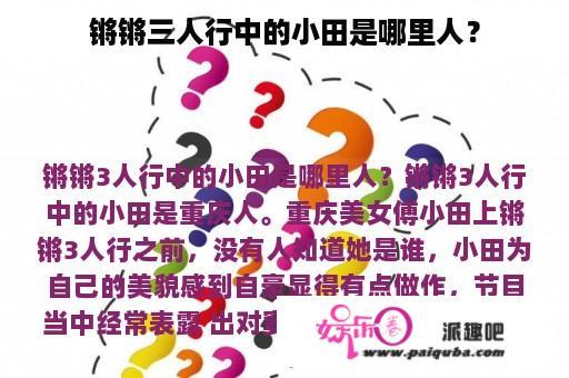 锵锵三人行中的小田是哪里人？