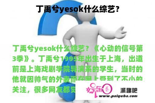 丁禹兮yesok什么综艺？