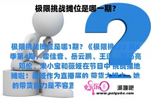 极限挑战摊位是哪一期？