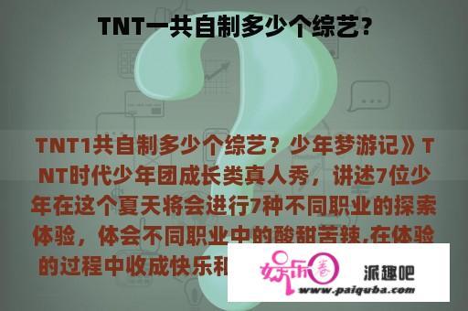 TNT一共自制多少个综艺？