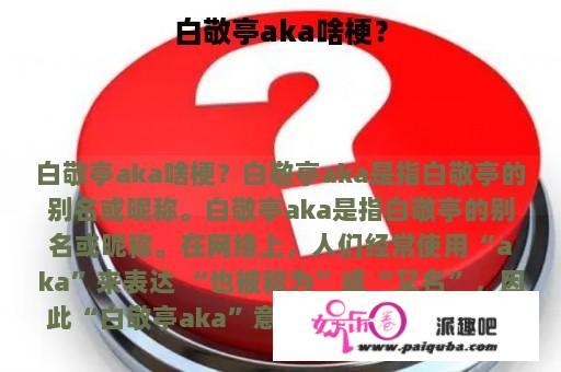 白敬亭aka啥梗？