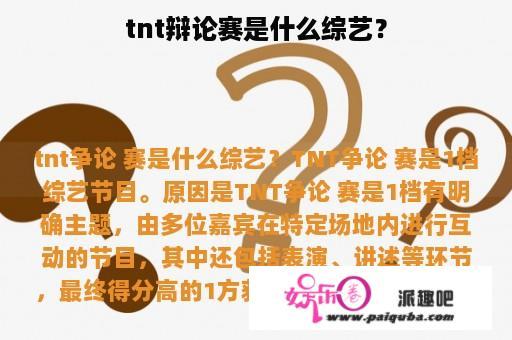 tnt辩论赛是什么综艺？