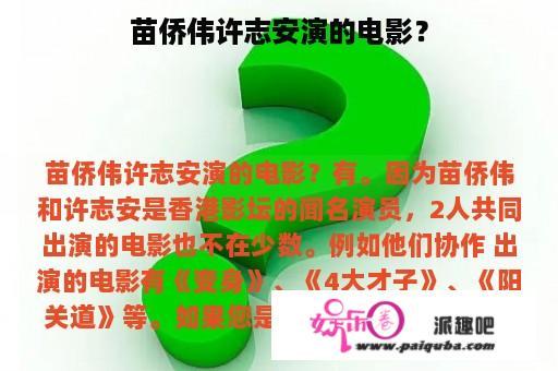 苗侨伟许志安演的电影？