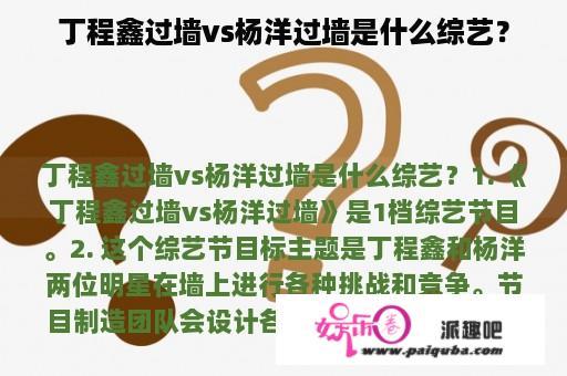 丁程鑫过墙vs杨洋过墙是什么综艺？