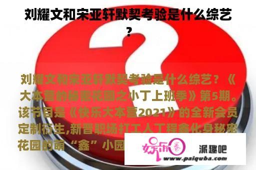 刘耀文和宋亚轩默契考验是什么综艺？