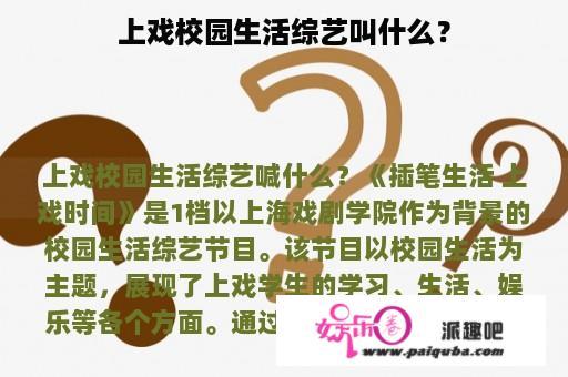 上戏校园生活综艺叫什么？