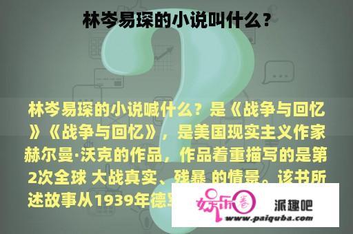 林岑易琛的小说叫什么？