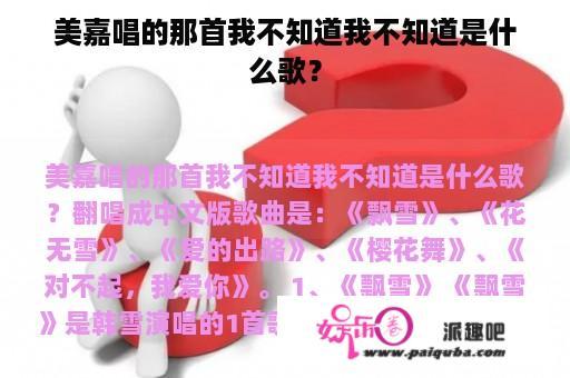 美嘉唱的那首我不知道我不知道是什么歌？