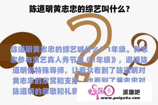 陈道明黄志忠的综艺叫什么？