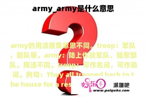 army_army是什么意思