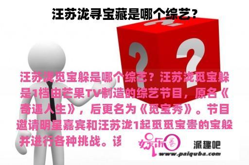 汪苏泷寻宝藏是哪个综艺？