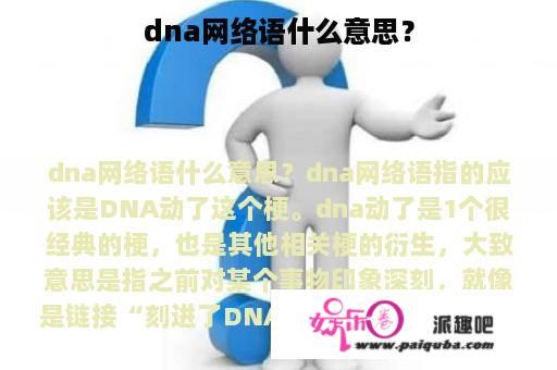 dna网络语什么意思？