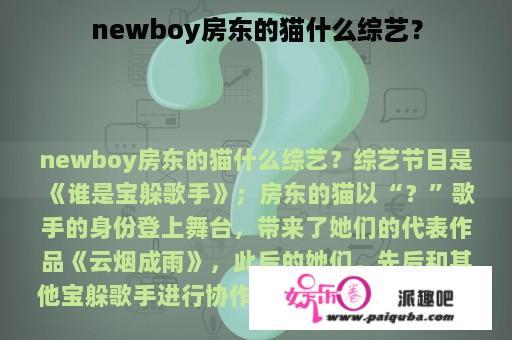 newboy房东的猫什么综艺？