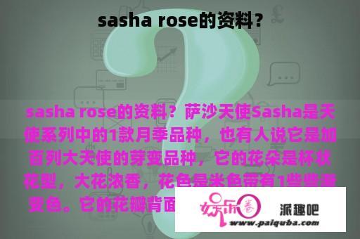 sasha rose的资料？