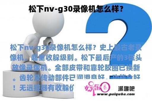 松下nv-g30录像机怎么样？