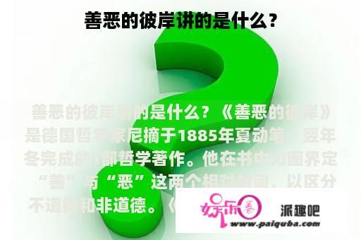 善恶的彼岸讲的是什么？