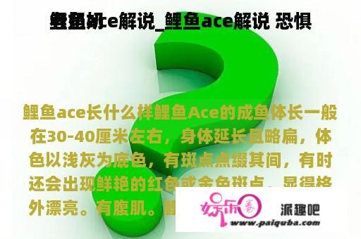 鲤鱼ace解说_鲤鱼ace解说 恐惧
老奶奶