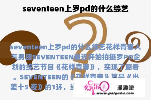 seventeen上罗pd的什么综艺