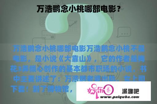 万浩鹏念小桃哪部电影？