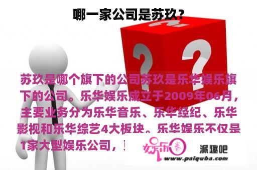 哪一家公司是苏玖？