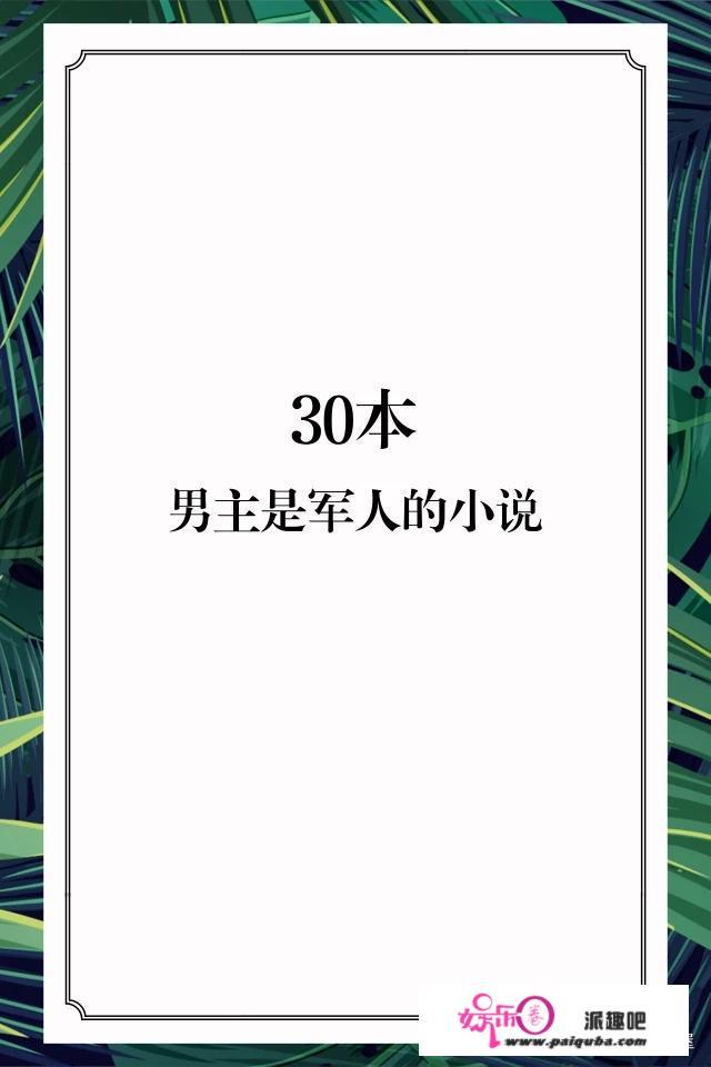 哪位好心人能推举几本男主是军人或警察的言情小说