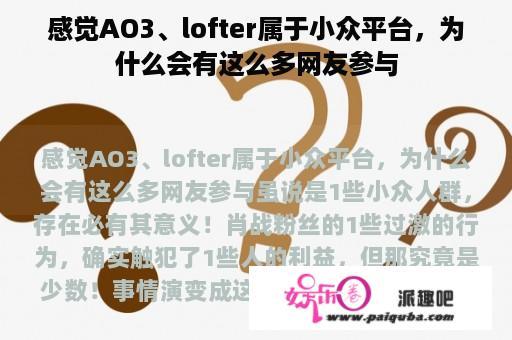 感觉AO3、lofter属于小众平台，为什么会有这么多网友参与