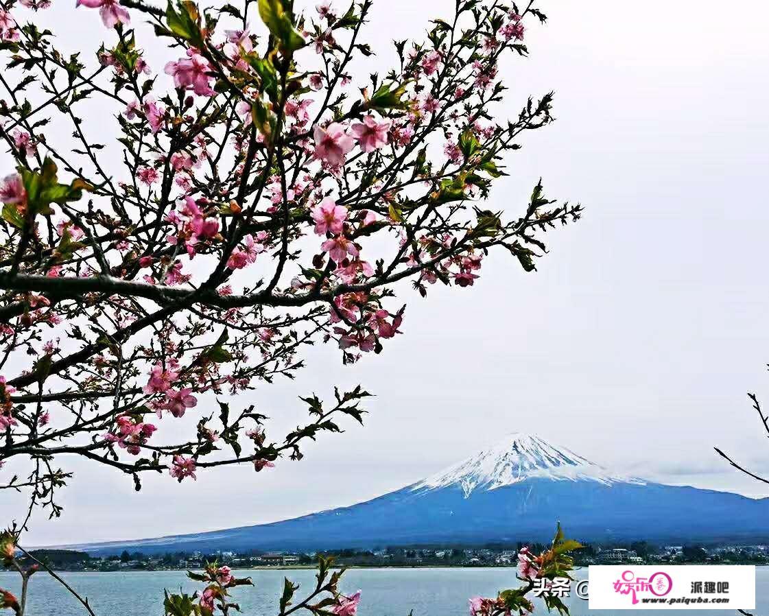 往日本旅游和深圳旅游有区别吗