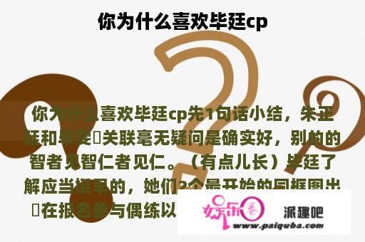 你为什么喜欢毕廷cp