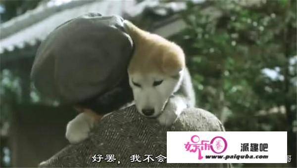 除了《犬王》和《1条狗的使命》，还有哪些关于狗的电影比较好看感人