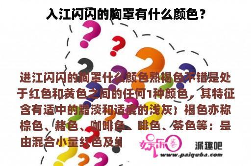 入江闪闪的胸罩有什么颜色？