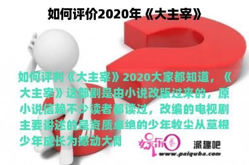 如何评价2020年《大主宰》