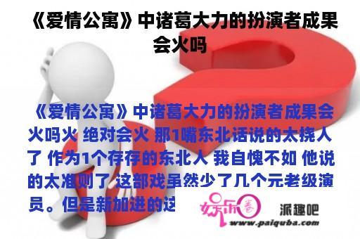 《爱情公寓》中诸葛大力的扮演者成果会火吗