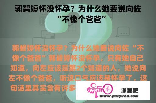 郭碧婷怀没怀孕？为什么她要说向佐“不像个爸爸”