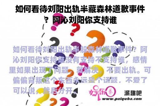 如何看待刘阳出轨半藏森林道歉事件？阿沁刘阳你支持谁