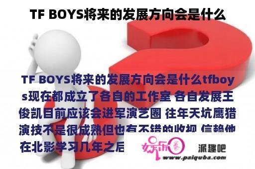 TF BOYS将来的发展方向会是什么