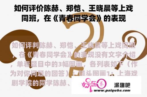 如何评价陈赫、郑恺、王晓晨等上戏同班，在《青春同学会》的表现