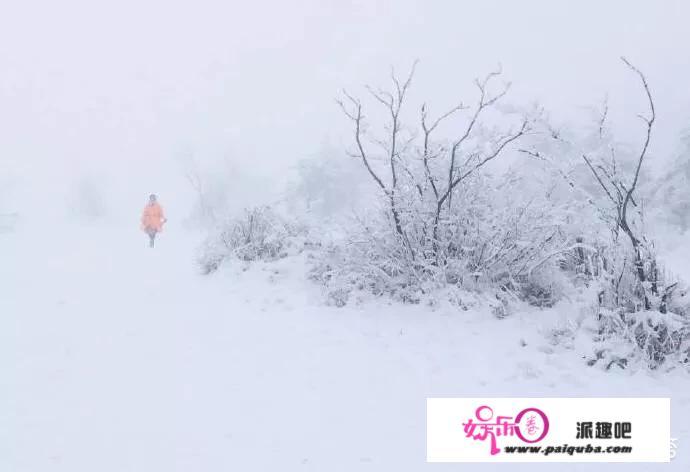 中国哪里的雪景最美