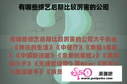 有哪些综艺后期比较厉害的公司