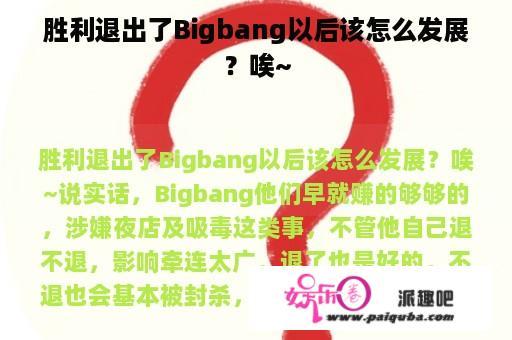 胜利退出了Bigbang以后该怎么发展？唉~