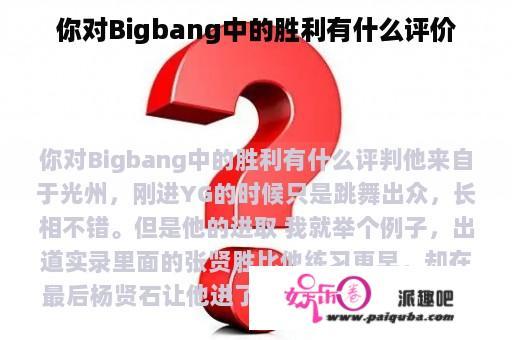 你对Bigbang中的胜利有什么评价