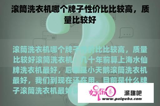 滚筒洗衣机哪个牌子性价比比较高，质量比较好