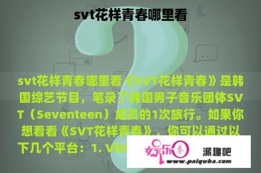 svt花样青春哪里看